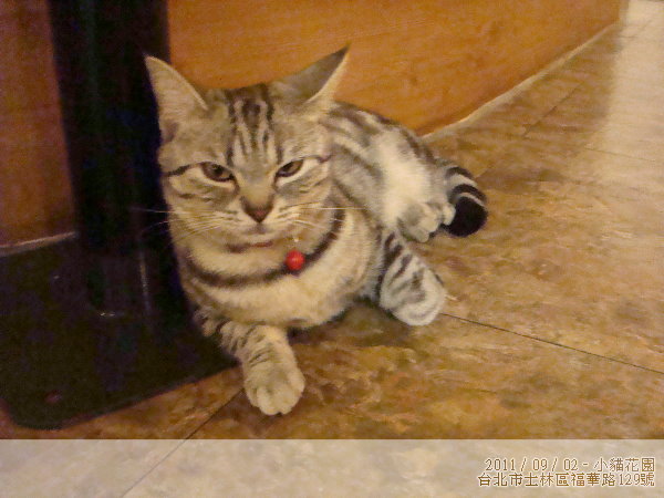 DSC04539.JPG
