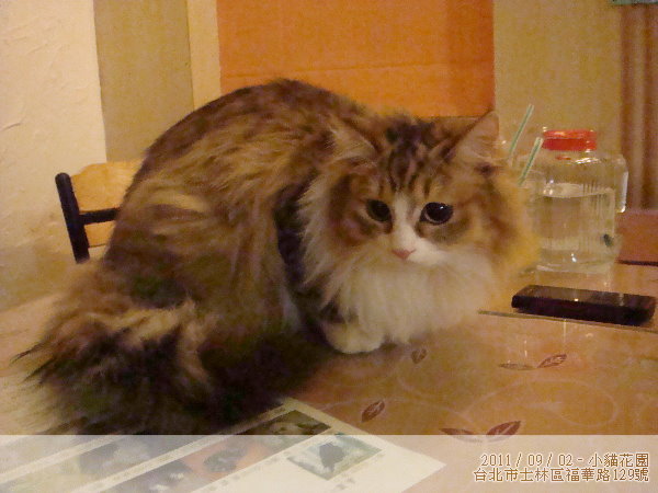 DSC04546.JPG
