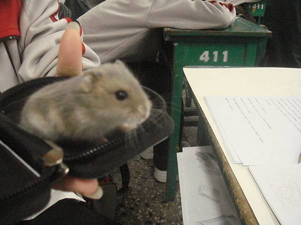 2008–12–31　小吱