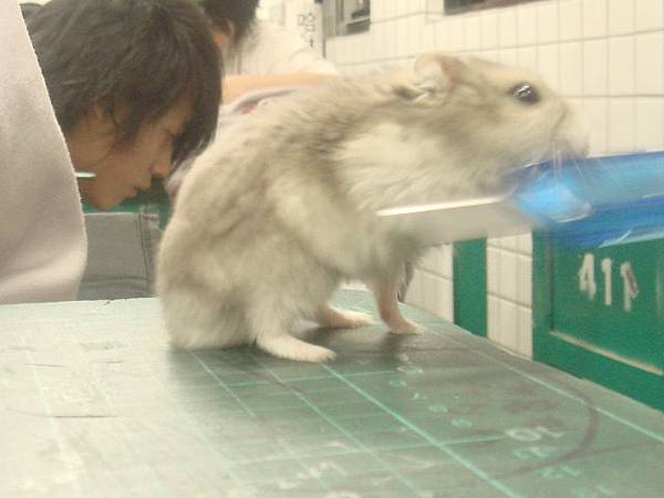 2009–05–14　小吱