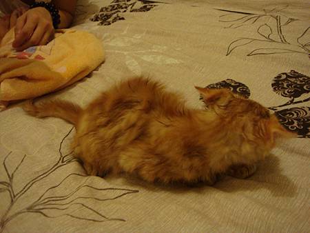DSC04134.JPG DSC04134.JPG