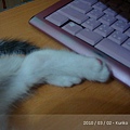 thumb