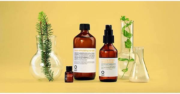 12715253_1678947379039959_1389378908099453645_n.jpg 12715253_1678947379039959_1389378908099453645_n.jpg