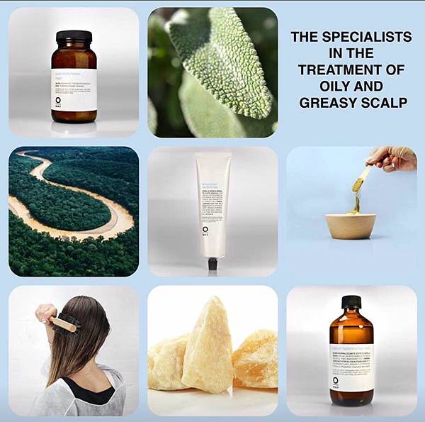 13087813_1709619919306038_8198593352821715413_n.jpg 13087813_1709619919306038_8198593352821715413_n.jpg