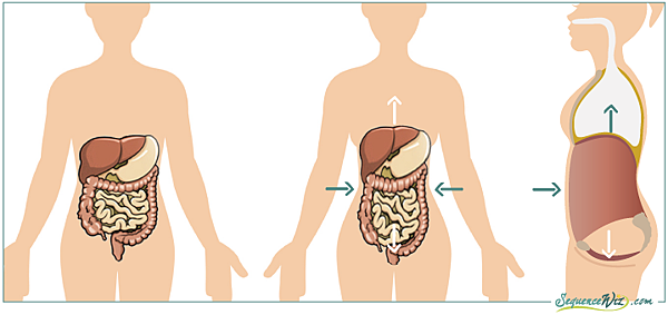 Intra-abdominal-pressure.png