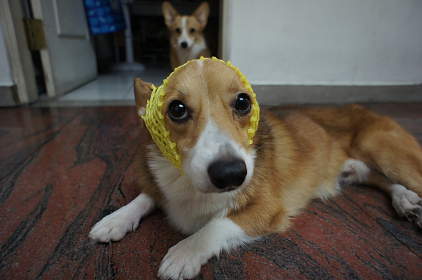 DSC03275.JPG