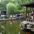 DSCI0766.JPG