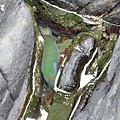 DSCI0968.JPG