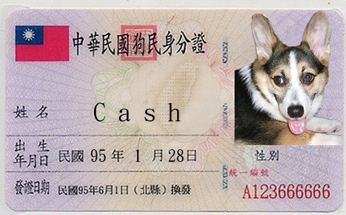 cash狗民身份證.jpg