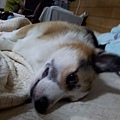 20121001_194345.jpg