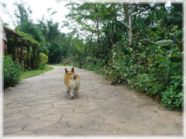 5.4 仙人掌公園-DSC09117.JPG