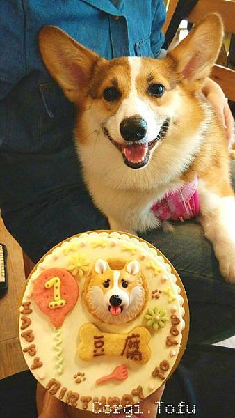 11232435_880366405369617_1226868337_o