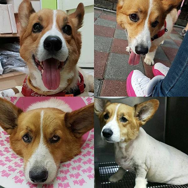 13951088_1177007335705521_206237211_o 13951088_1177007335705521_206237211_o