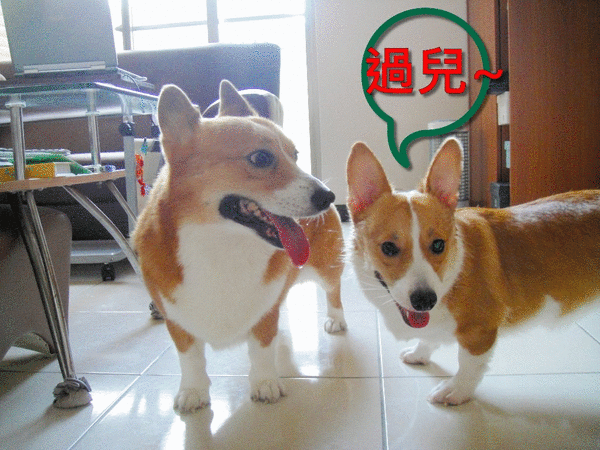 過敏兒.gif 過敏兒.gif
