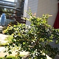 a_KLB_0048.jpg