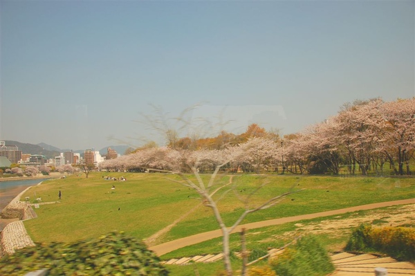 經過廣島和平公園