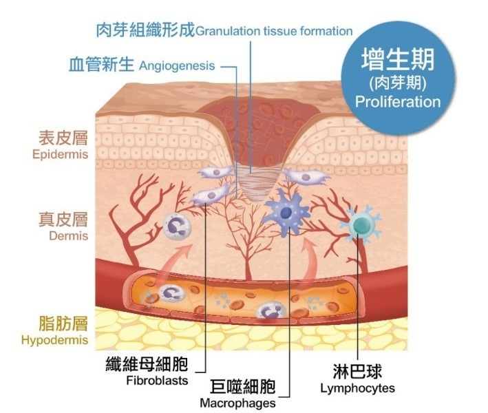 肺腺癌標靶治療,手足指肉芽腫治療 案例分享: