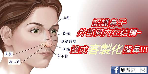 鼻整形手術不能說的秘密 關於隆鼻手術 您一定要知道的基本常識 美容醫學外科醫師dr 劉恭志 痞客邦