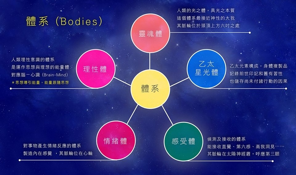 bodies.JPG bodies.JPG