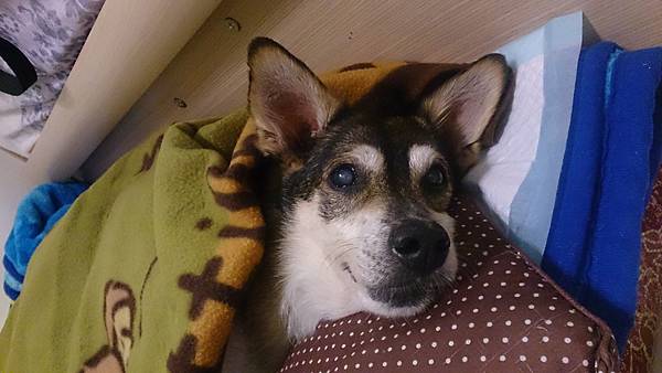 DSC_2475.JPG DSC_2475.JPG