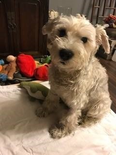 蛋捲.jpg 蛋捲.jpg