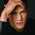 wentworth_miller111907014219.gif