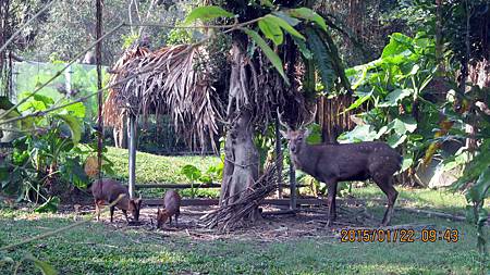 1040122042動物園.JPG