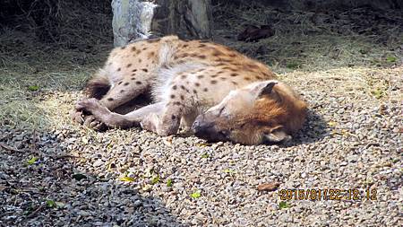 1040122124動物園.JPG