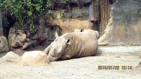 1040122127動物園.JPG