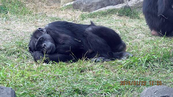 1040122137動物園.JPG