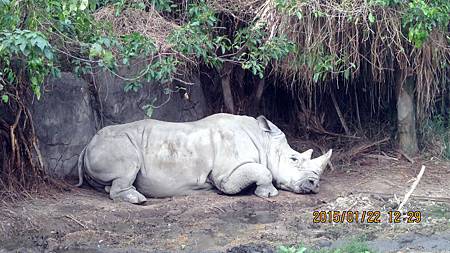 1040122144動物園.JPG