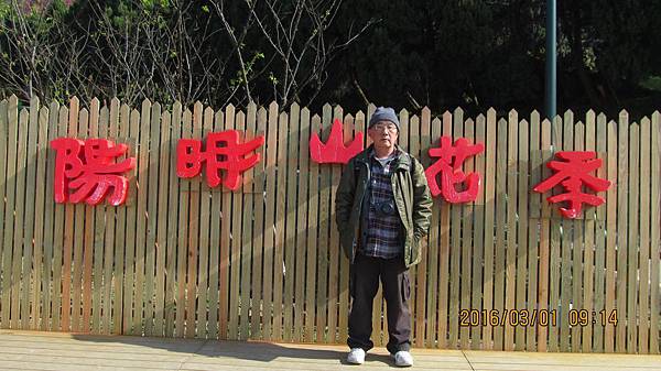 1050301014陽明山105花季 1050301014陽明山105花季