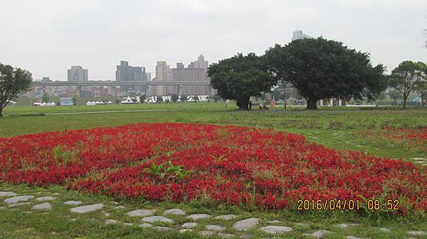 1050401058大台北都會公園.jpg