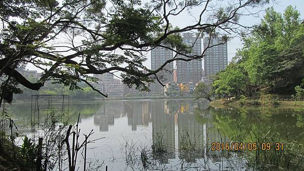 1050405006金龍湖 1050405006金龍湖