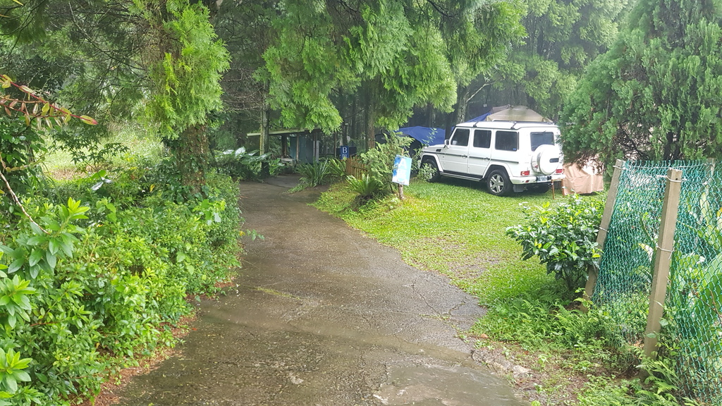 森林系-松木青露營區-新竹五峰-一個人下雨天的悠閒-整理瑞典