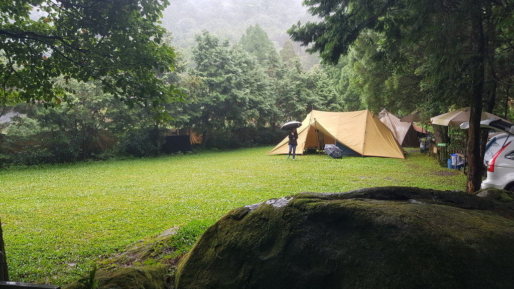 森林系-松木青露營區-新竹五峰-一個人下雨天的悠閒-整理瑞典