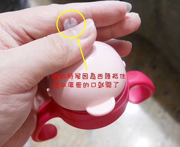 P1020895.JPG P1020895.JPG