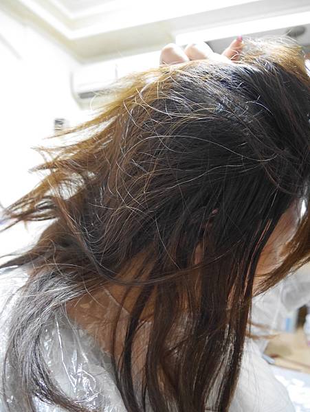 P1070684.JPG P1070684.JPG