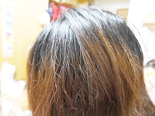 P1070690.JPG P1070690.JPG