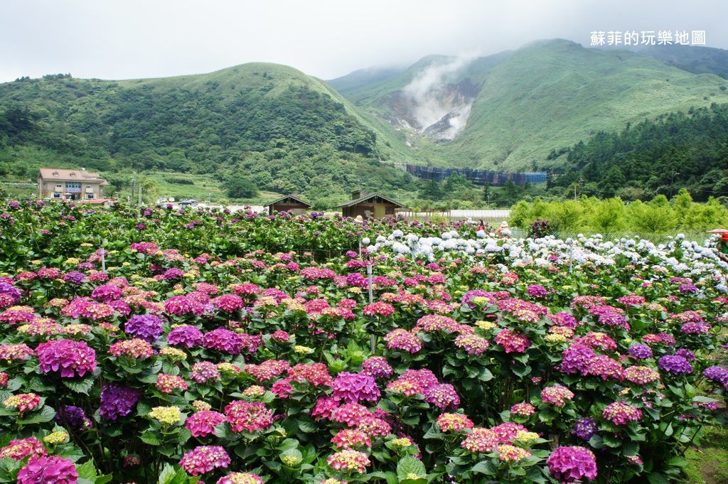 DSC01218.JPG DSC01218.JPG