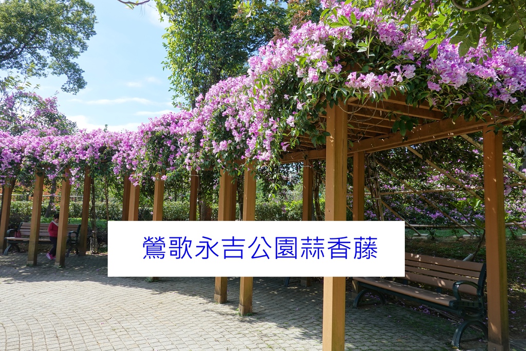 DSC02230.JPG DSC02230.JPG