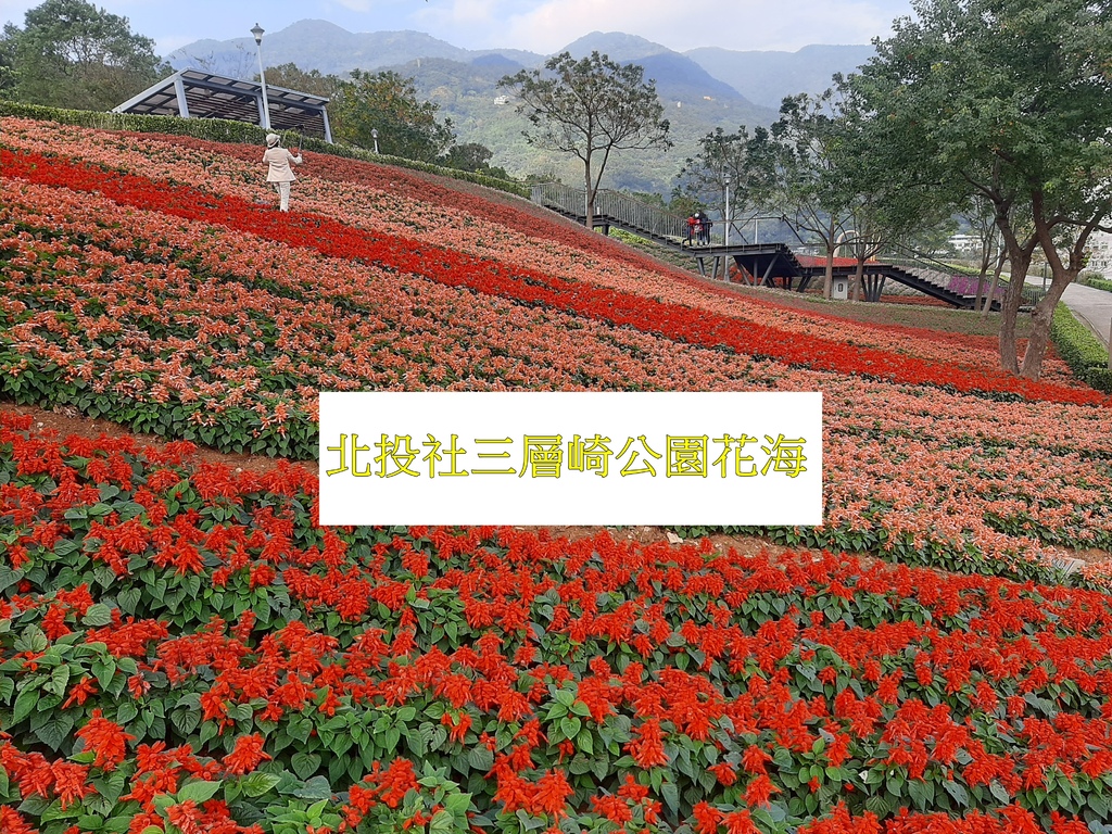 20230107_144949.jpg 20230107_144949.jpg