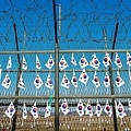 DMZ-001.jpg