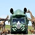 africansafari-01.jpg