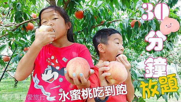 東北@福島親子旅遊｜30分鐘放題。水蜜桃吃到飽初體驗(202