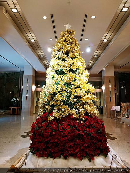 IMG_20181117_012120.jpg IMG_20181117_012120.jpg