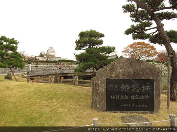 IMG_1893.JPG IMG_1893.JPG