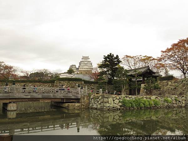 IMG_1890.JPG IMG_1890.JPG