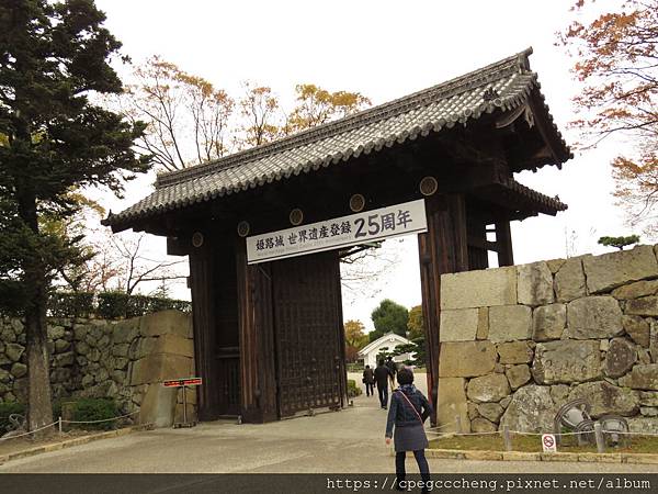 IMG_1896.JPG IMG_1896.JPG