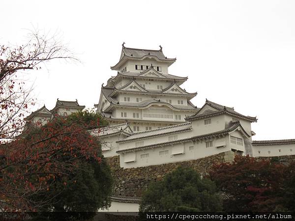 IMG_1905.JPG IMG_1905.JPG